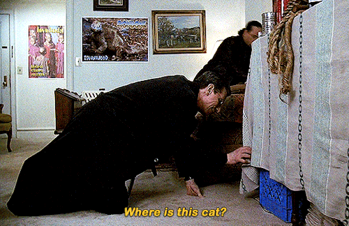 elliot-olivia:  I don’t see a cat. That doesn’t mean anything. They’re freaky little creatures, they lurk.