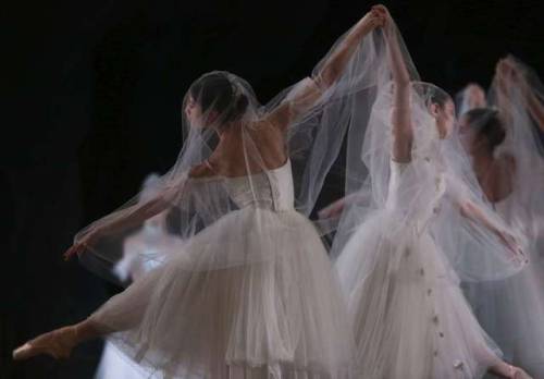 nathanieljostn: Artists of San Francisco Ballet Act 2 of Giselle credits: Amy Osborne