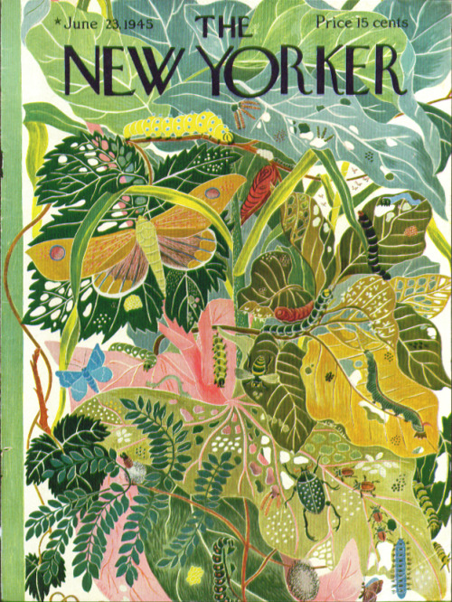 atelierentomologica:New Yorker cover, June 23 1945