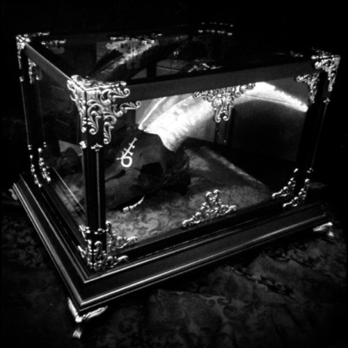 phallus-worship:                                                      ┼666┼