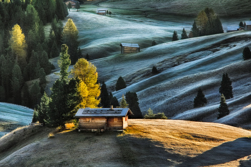 owakolf:  Nature Blog ▲