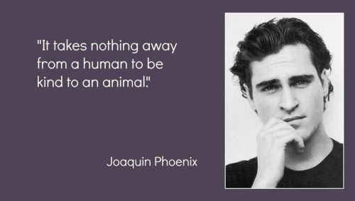 Joaquín Rafael Phoenix is an American actor, producer, music video director, musician and activist. 