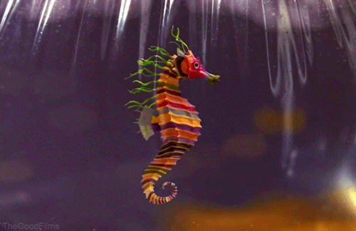 teenageepitome:  The Crayon Ponyfish.