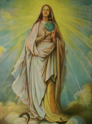 Mes de María
Inmaculado Corazón de María, deseo consolarte todos los días de mi vida. Humildemente deposito mi existencia bajo el amparo de tu manto.