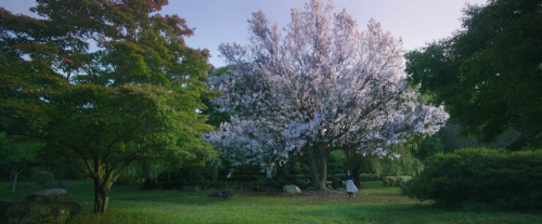 Sex ceteradesunt:The Handmaiden (2016) dir. Park pictures