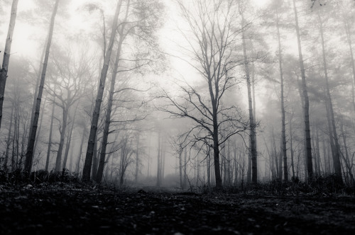 selfmedicatingwithpie:  Do you ever just want to go somewhere where nobody knows your name? 