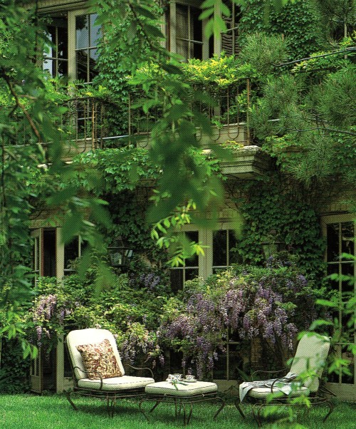 vintagehomecollection:The garden at Rose Tarlow’s wisteria and Virginia creeper-decked house in Beverly Hills. Comfortably upholstered furniture from Melrose House provides a setting for tea.  The Los Angeles House, 1995  