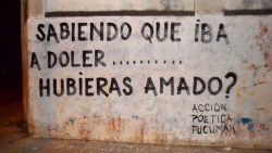 accion–poetica:  Sabiendo que iba a doler… hubieras amado?