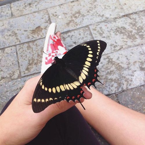 Las sereias ❁
