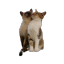 rcsesgvld