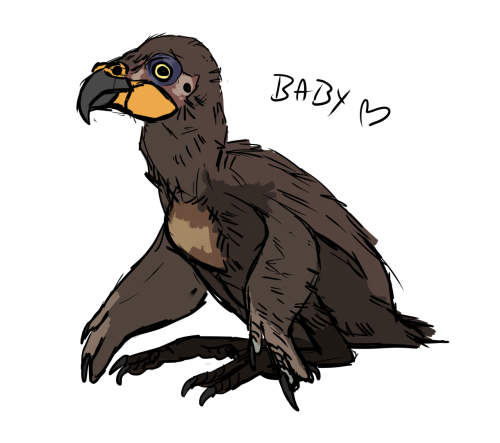 more from my birds. not so sure about the corvid’s coloration tho, that might change, it’s based off