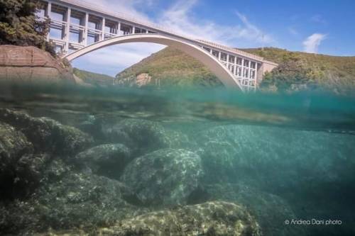 Il mio paradiso&hellip; #volgolivorno #andreadani #natgeo #betuscan #iltirreno #0586 #visittuscany #