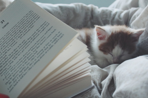 Day 9 - Cozy Reading Time Cuddles with my kitten and Rainbow Rowell is probably the best way to spen