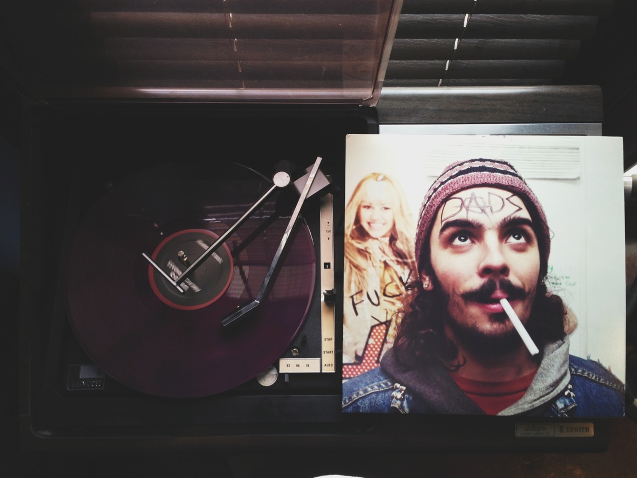 catslistening:  American Radass (This is Important) LP - Dads 