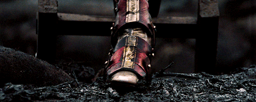 diana-prince:  The Warrior. The Myth. The Wonder. 