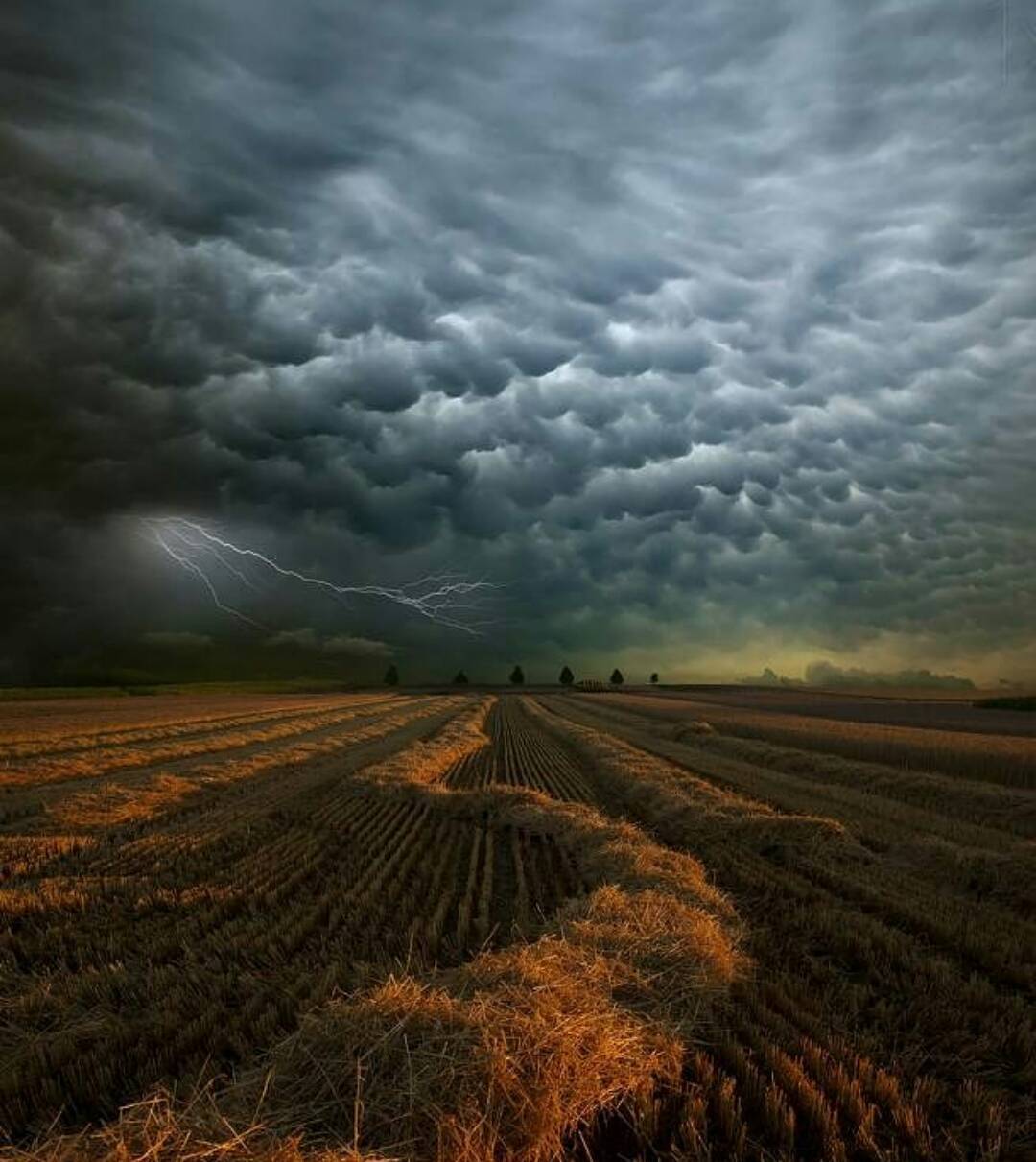 opticcultvre:    Follow @awesome.earth for more amazing postsPhoto by Franz Schumacher