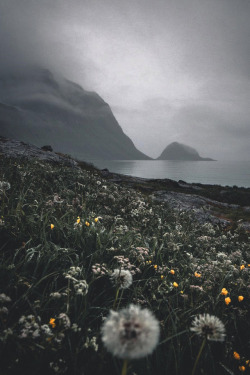 lsleofskye:Lofoten | jannilaakso