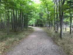 totallylesbians:Here’s some pictures from my little adventure yesterday. It’s places like these that make me want to get back into photography. This is what I’d like to call Pure Michigan