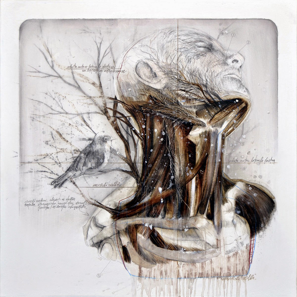 itscolossal:  Birds and Fauna Sprout From Nunzio Paci’s New Graphite and Oil Anatomical