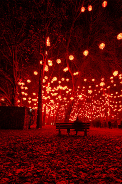 kawaiitheo:  Red forest ~ By Corinne Doucet