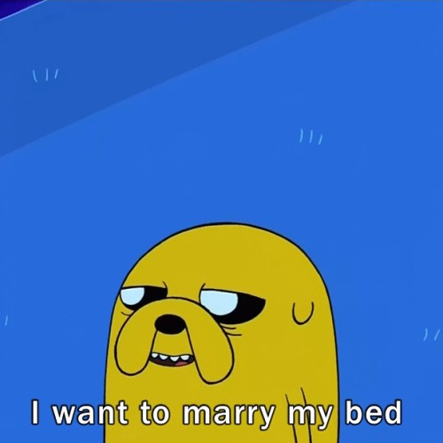tumblr photo watashi-wa-otaku-desu 0