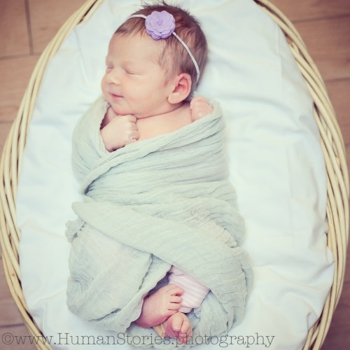 Tiny little in a basket. Swaddle by Southern Fried Delight!