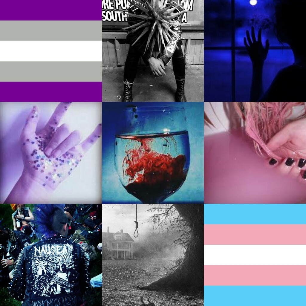 LGBT+ Moodboards, Aesthetics, Flags & Lockscreens — Grey Asexual Trans ...