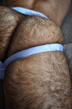 thebearunderground:  Follow The Bear Underground Over 30,000 pics/vids of the hottest hairy men around the globe. 