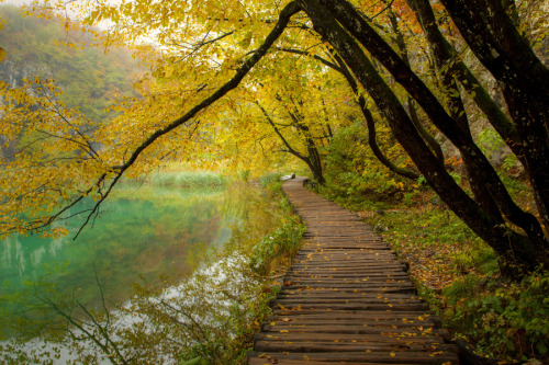 woodendreams:  (by Béla Török)