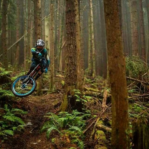 mtbikinglove: @forrestriescodh @phodgsonphoto . #mountainbikes #mountainbike #MTB #mtbtrails #mtbt