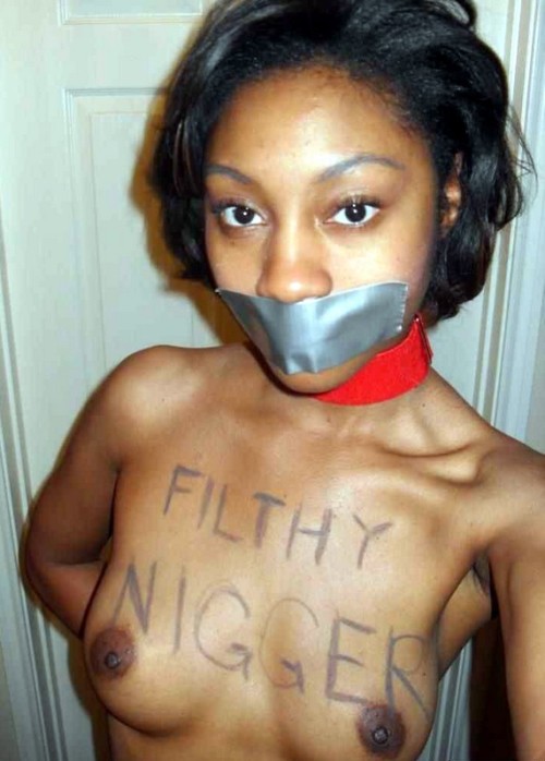 blackchickson: @naziniggercunt Just what you are a filthy nigger mutt, perfect for slapping fucking 