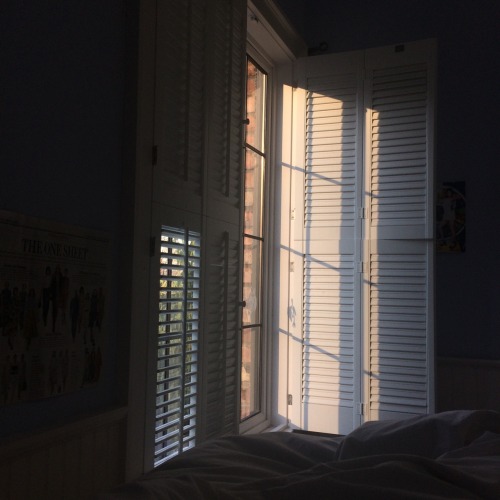 purifiant:milk-and-meat:purifiant:pretty okay with this view from my bedI’d just stay in bed all day