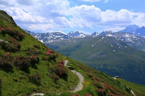 breathtakingdestinations:  Col de la Vuardette - Switzerland (by Alain Rouiller) 