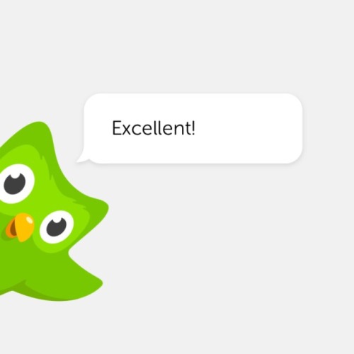 cowherderess: Have some affirmations from the Duolingo owl!