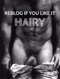 papillon52:  ombusman:  👋👋👋👋👌👌👌👌👋👋👋  Reblogging because I am crazy for the very hairy MEN 