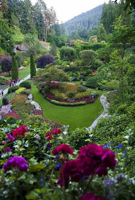 flowersgardenlove:  Elaborately pretty g Beautiful gorgeous pretty flowers  Paradise