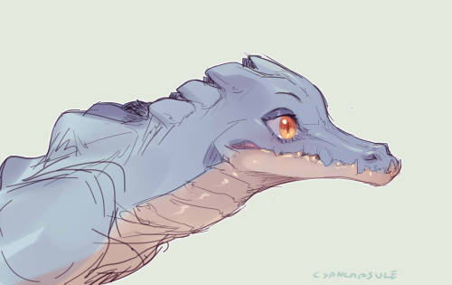 cyancapsule:Here are a buncha crocodiles/gators/gharial sketches I’ve been posting over on my twitter recently! ( Sketches were originally sent to my patrons way way back!) I’ve always thought crocodiles are really cool even if it seems they kinda