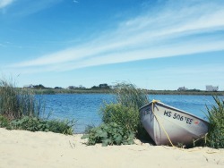 somersetprep:  Miacomet Pond - Nantucket, MA - 8/7/15   Follow me on Instagram @alexanderbattisti