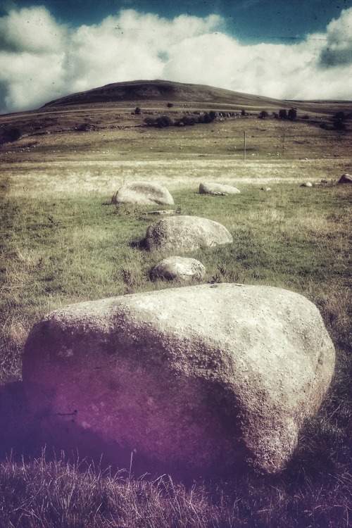 Gamelands Stone Circle, Cumbria, 11.8.18.A sizeable recumbent circle on the edge of farmed land with