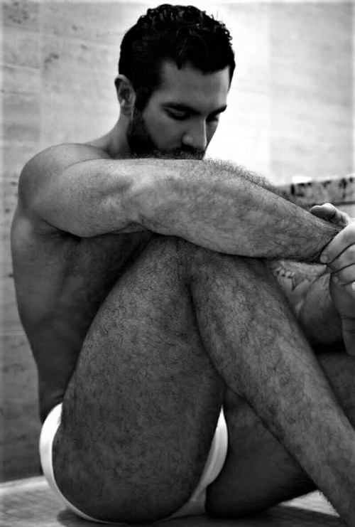 grade-a-beef: thebearunderground: The Bear Underground - best in masculine hairy menWith over 62,000