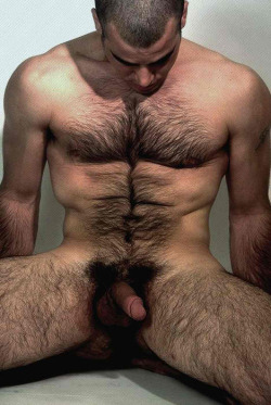 hairy-chests:  ((Hairy-Chest)) ((xLBigDick))