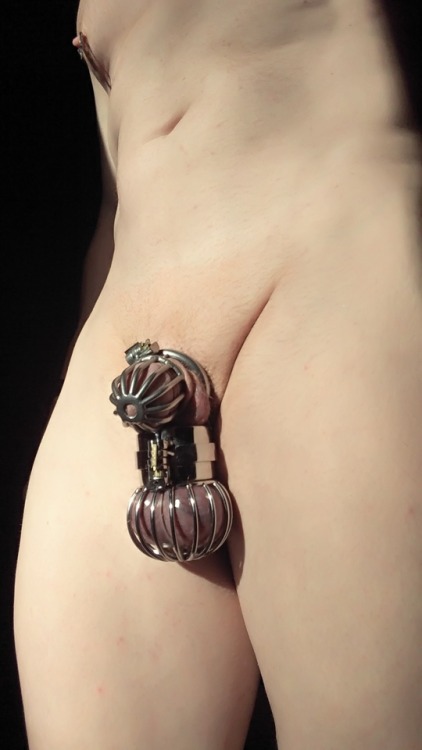 show-us-your-locked-cock:Let out of my Evotion 3D chastity for some photos with matching ball stretcher/punisher. Under the band that locks the weight on my balls there are 6 punishment spikes doing their thing. When locked on, it is impossible to remove