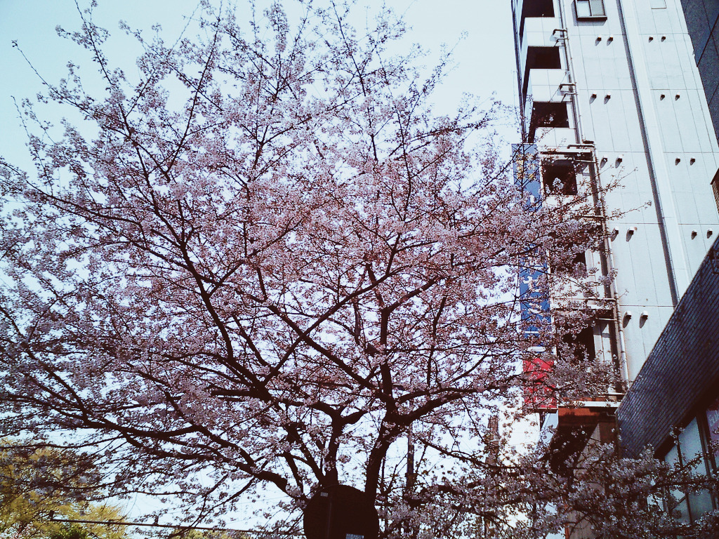 japan-overload:  by Y_suke