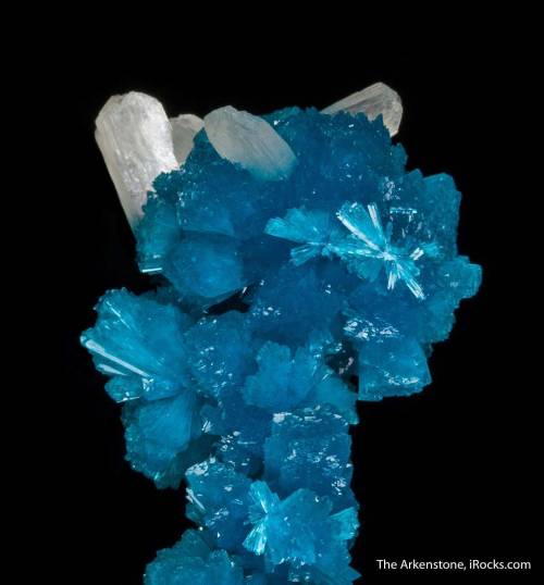 Cavansite stalactite with Stilbite -  Wagholi Quarry, near Pune, Maharashtra Province, India