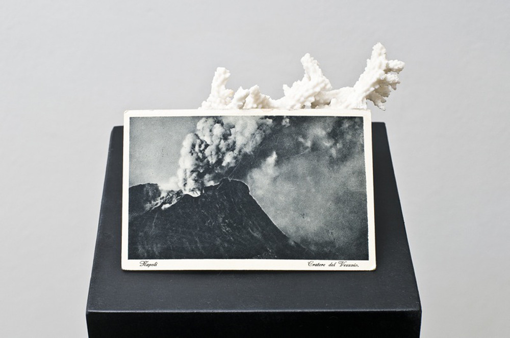  Alessandro Piangiamore - Untitled (2010) - Coral and postcard on pedestal 