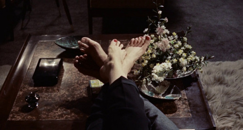 stevemcqueened:Bell, Book and Candle (1958) dir. Richard Quine