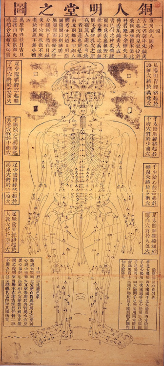 19th Century acupuncture chart, China.