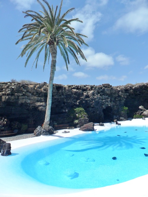 vwcampervan-aldridge:Palm tree and clear pool set in Volcanic Lava field, Jameos del Agua, Lanzarote