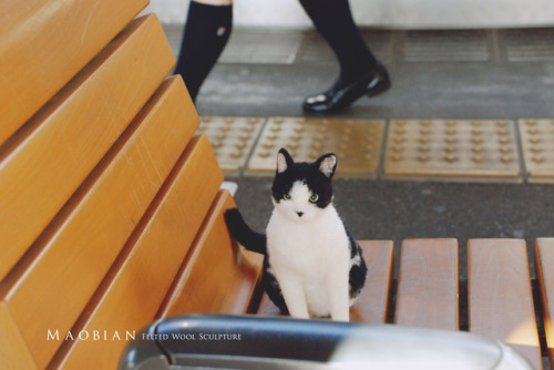 Last December I took my needle felted cat to travel to Tokyo.(part. 2)Before Natsume Soseki’s(夏目漱石) 