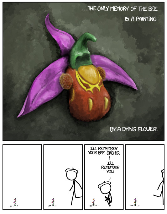 jtotheizzoe:  nevver:  Bee Orchid  As usual, the science of this orchid story is